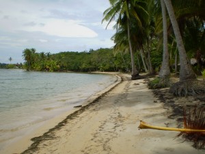 America Centrale - Panama - Bocas del Toro - playa Bocas del Drago