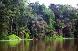 America Centrale - Costarica - Tortuguero - labirinto di fiumi